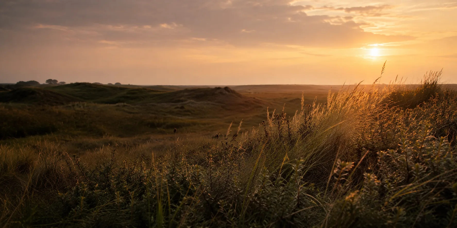 Rustig duinlandschap in warm avondlicht
