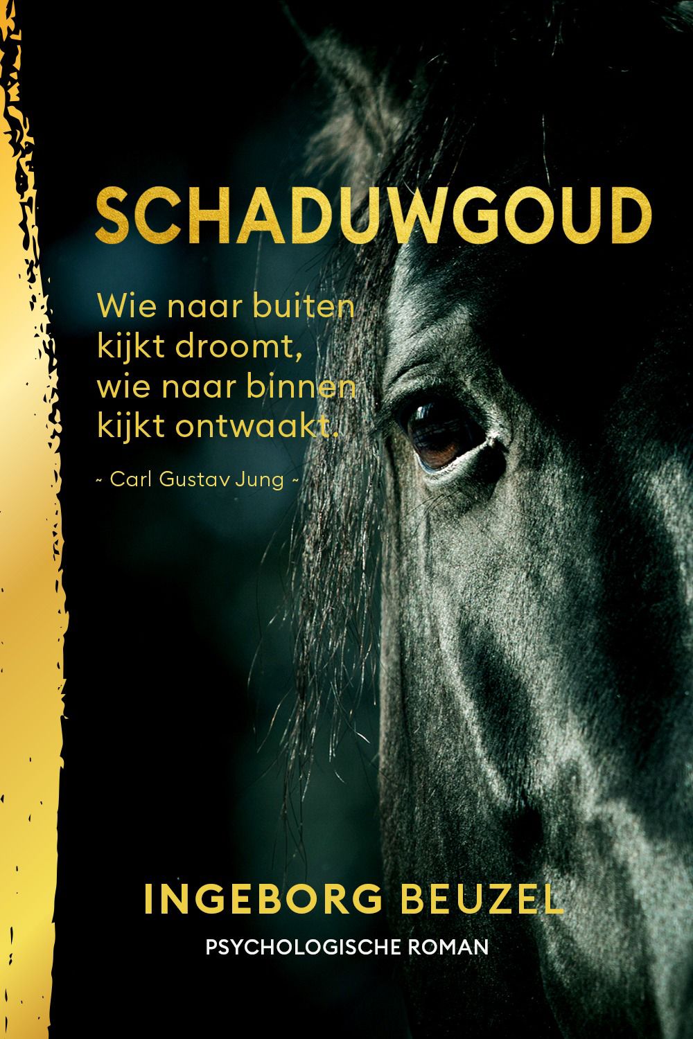 Boek Schaduwgoud door Ingeborg Beuzel, gids voor identiteitsherstel